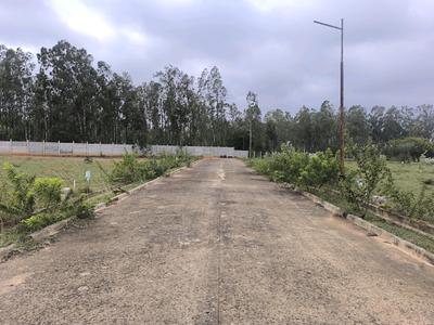 Image of 1800 Sq.ft Residential Plot / Land for sale in Hoskote, Bengaluru for Rs. 5040000