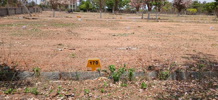 Garudadri Palm Island Main Image 1