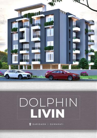 Dolphin Livin Main Image 1