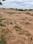 Nature view city Main Image 1