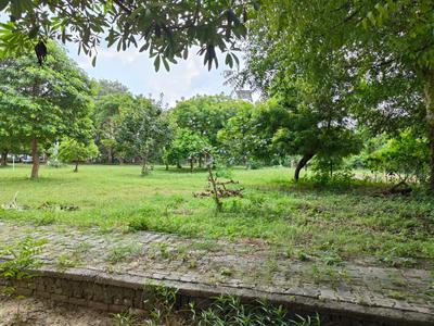 Residential Plot