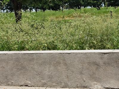 Image of 1000 Sq.ft Residential Plot / Land for sale in Mayakhedi, Indore for Rs. 4000000