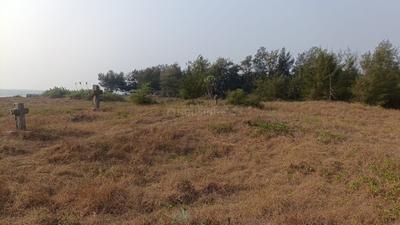 Image of 93108 Sq.ft 4 BHK Farm House for sale in Morjim, Goa for Rs. 1100000000