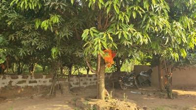 Sundarpur Plot View 2