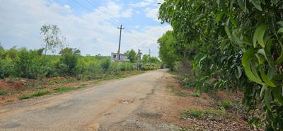 Royal sky properties Plot View 3