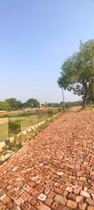 Image of 1000 Sq.ft Residential Plot / Land for sale in Gosainganj, Lucknow for Rs. 1000000
