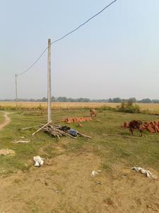 Image of 3000 Sq.ft Residential Plot / Land for sale in Balianta, Bhubaneswar for Rs. 4200000