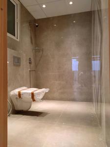 Common Bathroom Image of 1775 Sq.ft 3 BHK Apartment / Flat for sale in Express One, Vasundhara Ghaziabad for Rs. 26651000