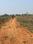 Sijua Plot View 2