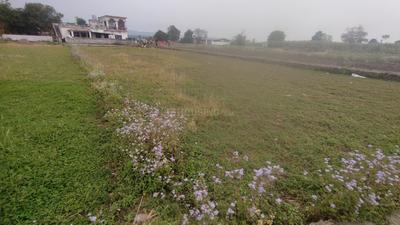 Doiwala Plot View 2