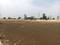 Kandi Plot View 2