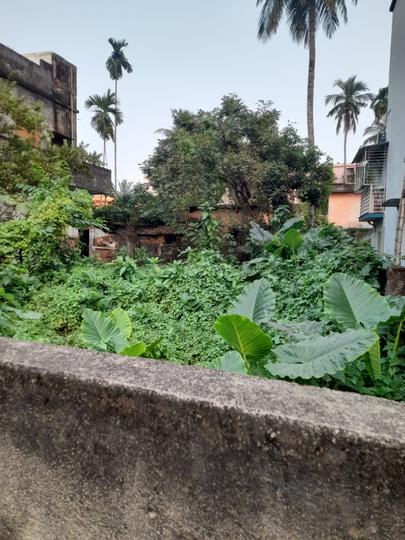 Sree Durga Pally, Paschim Barisha Main Image 1