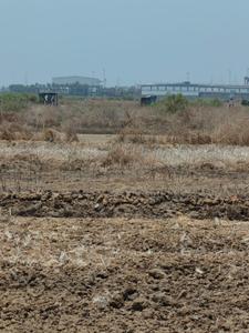 Image of 1089 Sq.ft Residential Plot / Land for sale in Aware, Navi Mumbai for Rs. 350000