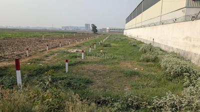 Image of 1216 Sq.ft Residential Plot / Land for sale in Kothiya, Patna for Rs. 6500000
