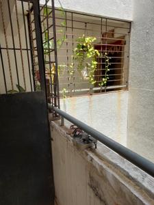 Image of 640 Sq.ft 1 BHK Apartment / Flat for sale in Lohegaon, Pune for Rs. 3600000