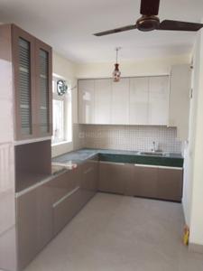 Kitchen Image of 1250 Sq.ft 3 BHK Apartment / Flat for rent in Jaypee Aman, Sector 151 Noida for Rs. 20100