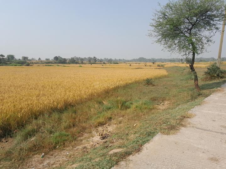 Bankura Lokepur Main Image 1