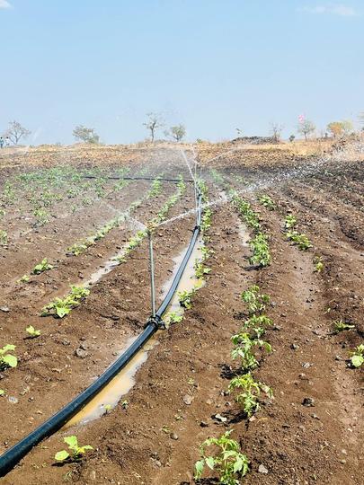 Sampangi The Treasure Valley Main Image 1