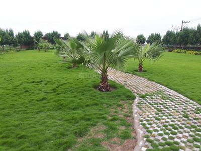 Image of 1500 Sq.ft Residential Plot / Land for sale in Raipura, Raipur for Rs. 1875000