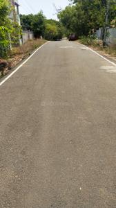 VGP Uthandi Layout Plot View 1