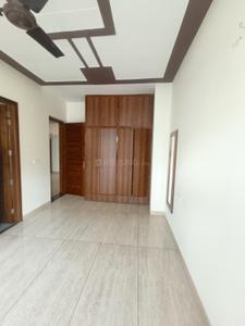 Hall Image of 1500 Sq.ft 3 BHK Builder Floor for rent in Sector 80 Mohali for Rs. 29000