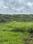 Tungarli Plot View 2