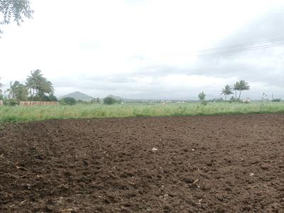 Residential Plot