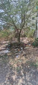 Image of 1614 Sq.ft Residential Plot / Land for sale in Manish Nagar, Nagpur for Rs. 11602000