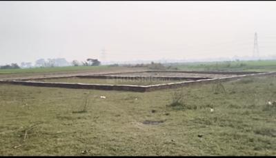 Image of 2000 Sq.ft Residential Plot / Land for sale in Khorabar Urf Soobabazar, Gorakhpur for Rs. 800000