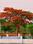 Annaporna ECo Green City  Plot View 2