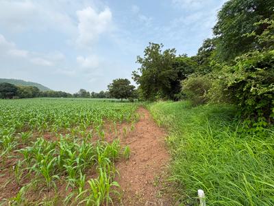 Image of 4000 Sq.ft Residential Plot / Land for sale in Simrol, Indore for Rs. 1200000
