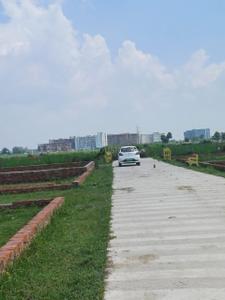 Tindola Plot View 3