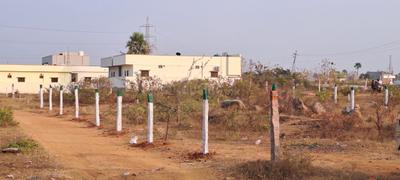 Residential Plot