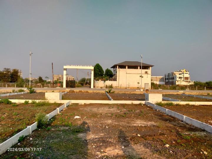 Maxx Glory Main Image 1