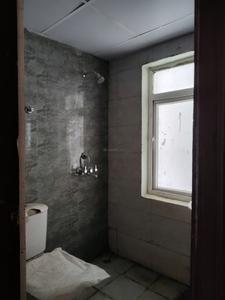 Common Bathroom Image of 920 Sq.ft 2.5 BHK Apartment / Flat for rent in Amrapali Dream Valley 2, Noida Extension Greater Noida for Rs. 19010