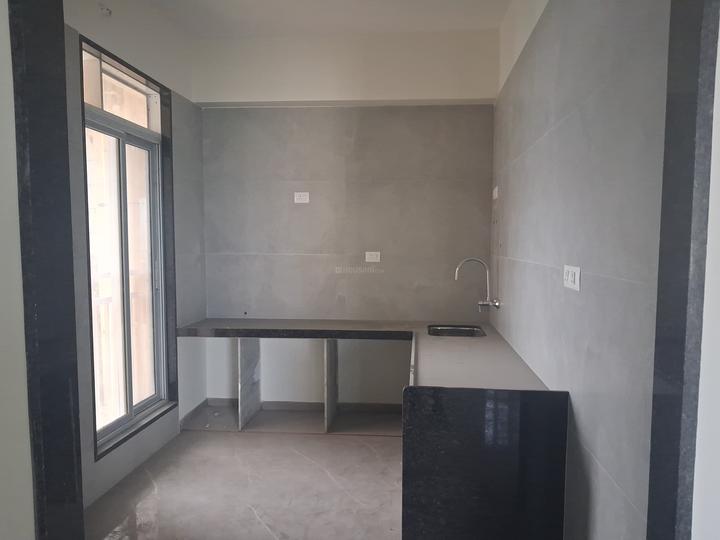 Gami Asters Main Image 1