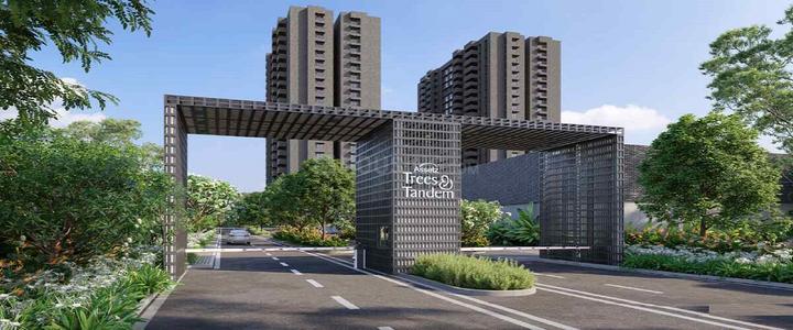 TREES & TANDEM Main Image 1