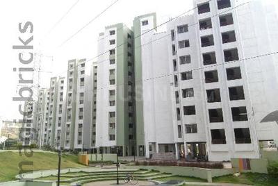 Image of 1100 Sq.ft 2 BHK Apartment / Flat for sale in Kolte Patil Three Jweles, Kondhwa Budruk, Pune for Rs. 7000000