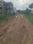 Dharitri New Royal Enclave Internal Roads 1