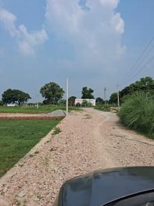 Barai Plot View 2