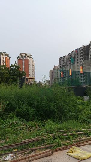 Green City Main Image 1