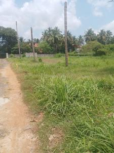 Image of 6534 Sq.ft Residential Plot / Land for sale in Puranattukara, Thrissur for Rs. 9750000