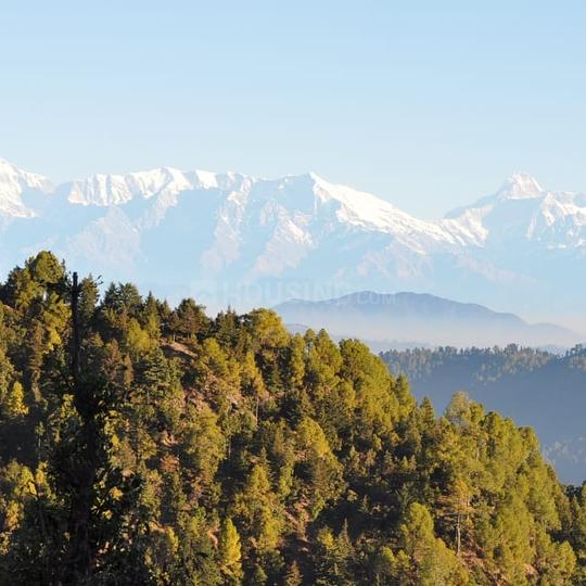 5 BHK 4050 Sqft Independent House for sale at Mukteshwar, Nainital