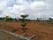 Desha Sri Vaarahi Homes Plot View 1