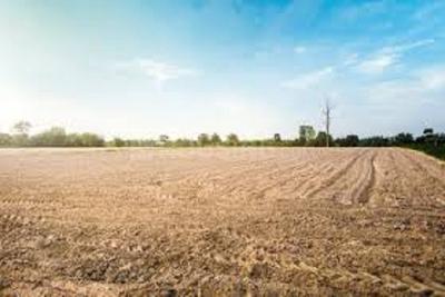 Image of 1602 Sq.ft Residential Plot / Land for sale in ASM Shree Jaswant Garden, Sector 14, Panchkula for Rs. 12390000