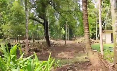 Image of 8700 Sq.ft Residential Plot / Land for sale in Kizhakkambalam, Kochi for Rs. 499995