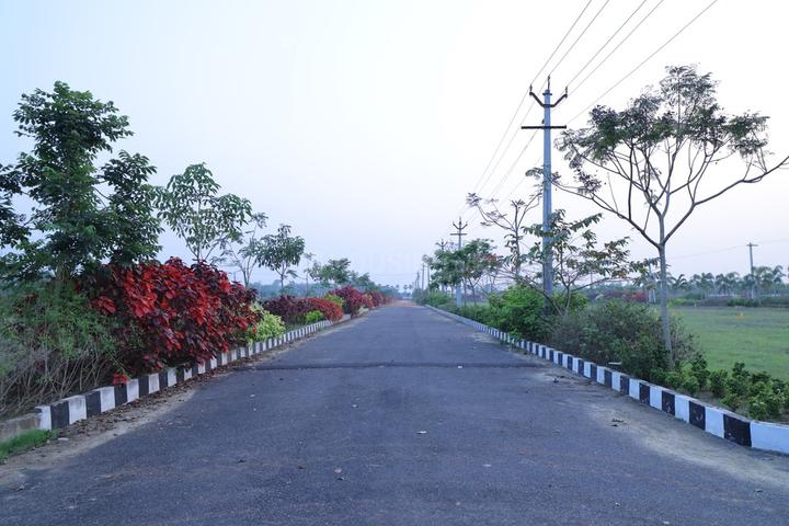 Charan Dallers Layout Main Image 1