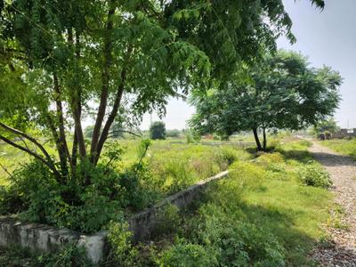 Image of 125 Sq.ft Residential Plot / Land for sale in VKG Palm Village, Bhanauta, Greater Noida for Rs. 4375500