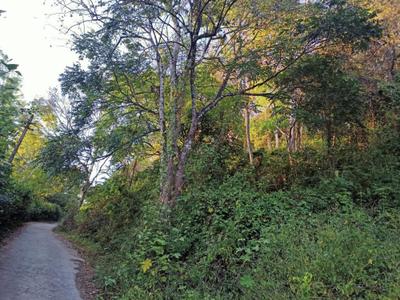 Image of 11000 Sq.ft Residential Plot / Land for sale in Munnar, Idukki for Rs. 9000000