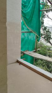 Image of 650 Sq.ft 1 BHK Builder Floor for rent in HSR Layout, Bengaluru for Rs. 36001